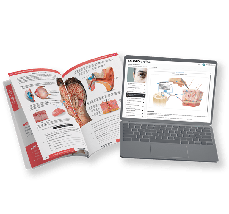 sciPAD Online lessons on a laptop